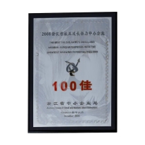 2008浙江省最具成长潜力中小企业